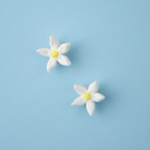 Citrus Blossom Studs